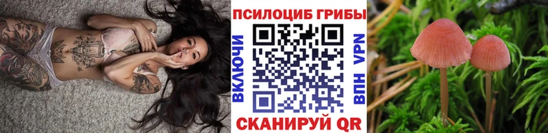 Псилоцибиновые грибы Psilocybe МЕГА Белозерск наркотики